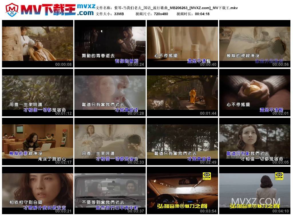 紫琴-当我们老去_国语_流行歌曲_MB206263